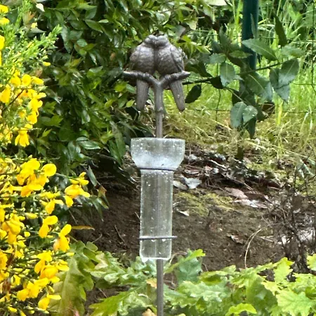 Villa K 10 Personnes Piscine Et Jacuzzi Proche Puy Du Fou